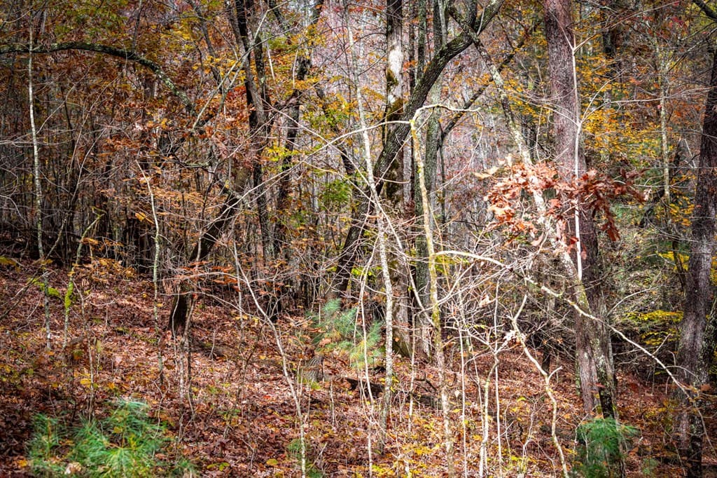 1580 Galloway Road, Blue Ridge GA 30513 - Photo
