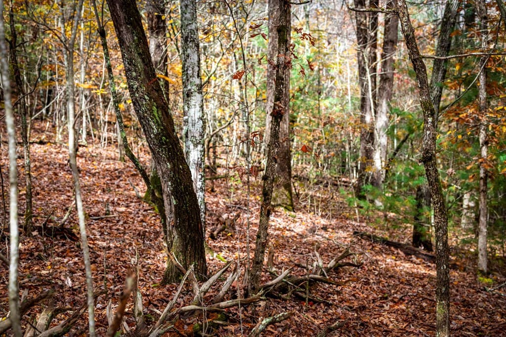 1580 Galloway Road, Blue Ridge GA 30513 - Photo