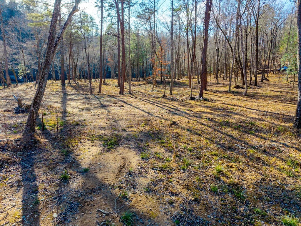 16.08 River Run Way, Hayesville NC 28904 - Photo
