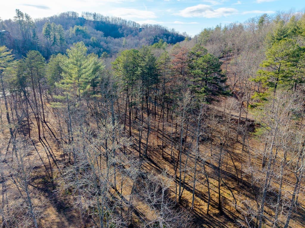 16.08 River Run Way, Hayesville NC 28904 - Photo
