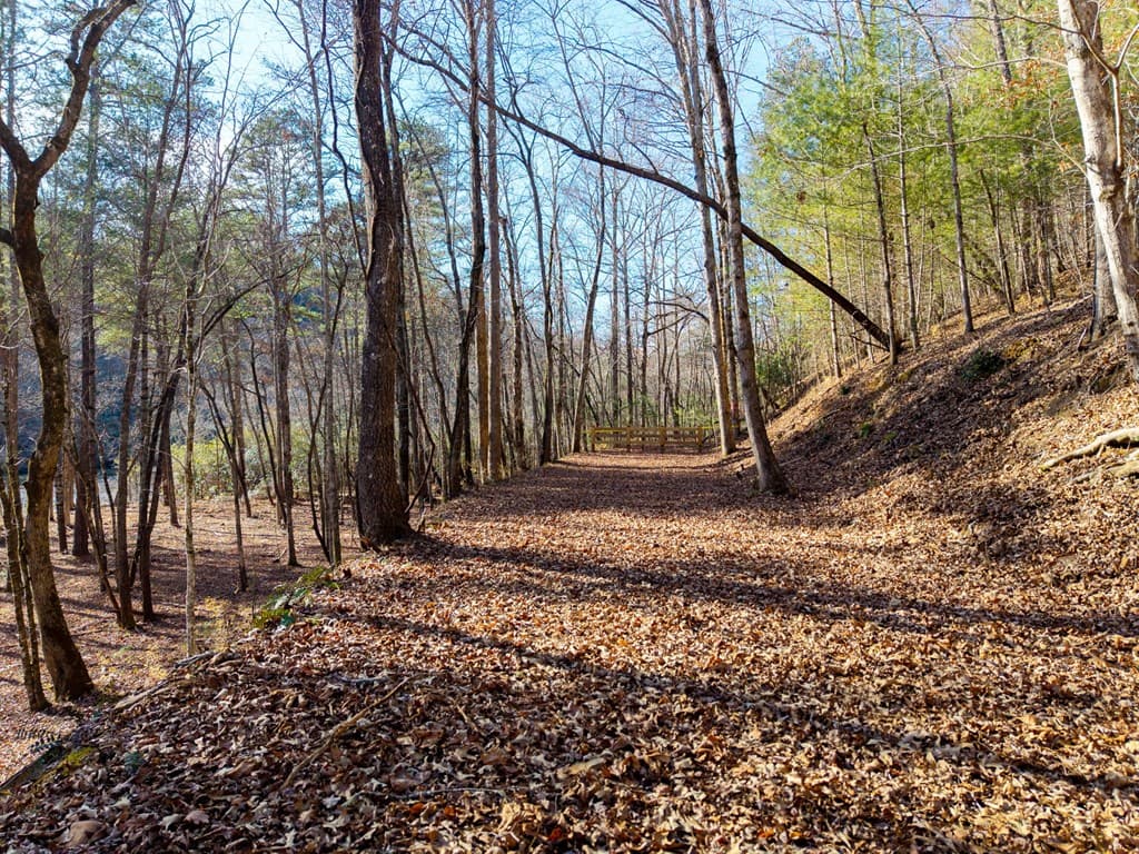 16.08 River Run Way, Hayesville NC 28904 - Photo