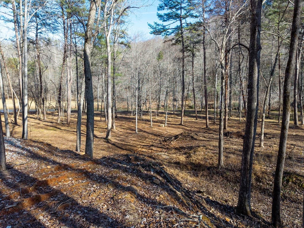 16.08 River Run Way, Hayesville NC 28904 - Photo