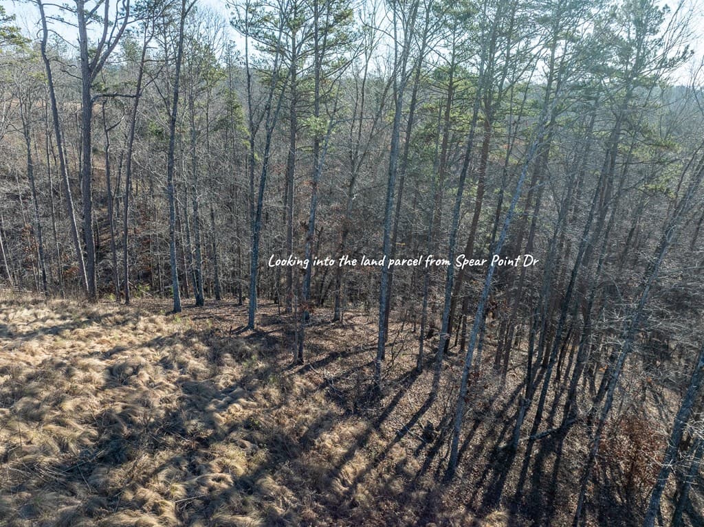 Lot 244 Spear Point Dr, Talking Rock GA 30175 - Photo