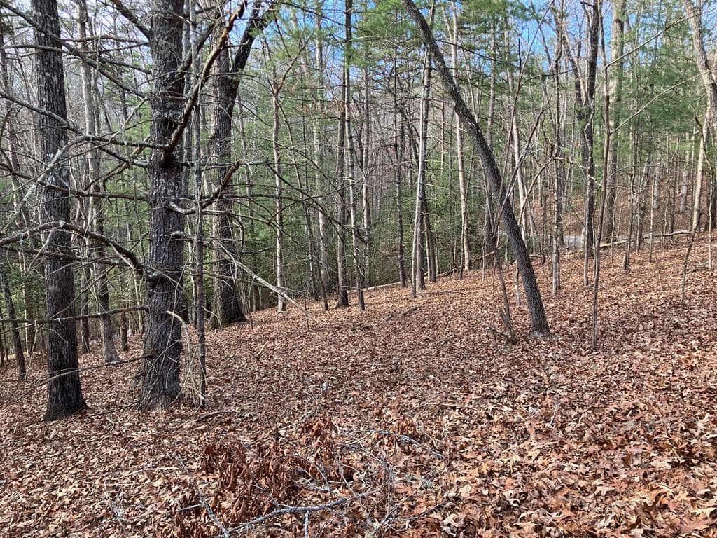 Lot 26A Amandas Way, Murphy NC 28906 - Photo