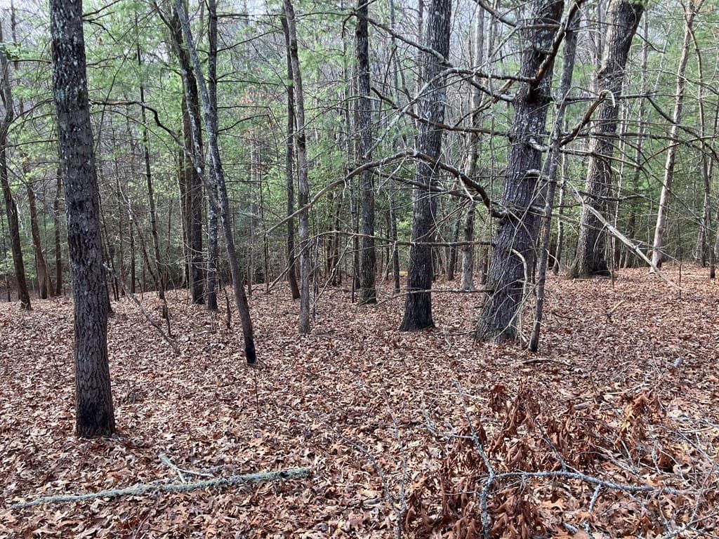 Lot 26A Amandas Way, Murphy NC 28906 - Photo