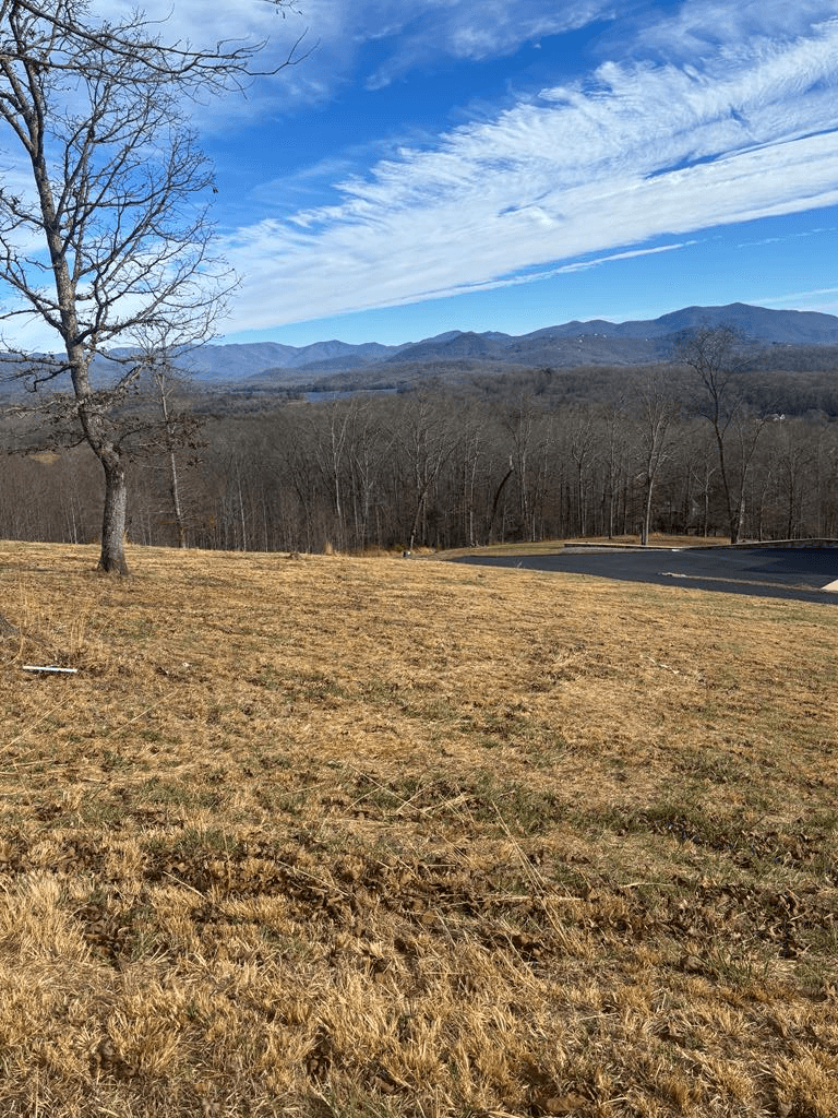 Lot 24 Jack Groves Lane, Hayesville NC 28904 - Primary photo