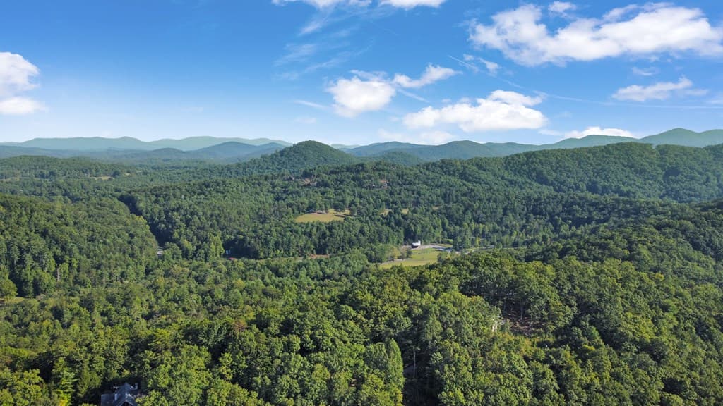 416 Millstone Mountain Lane, Blue Ridge GA 30513 - Photo