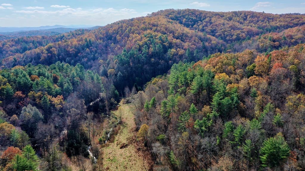 TR 3B Wolf Pen Gap Road, Ellijay GA 30540 - Photo