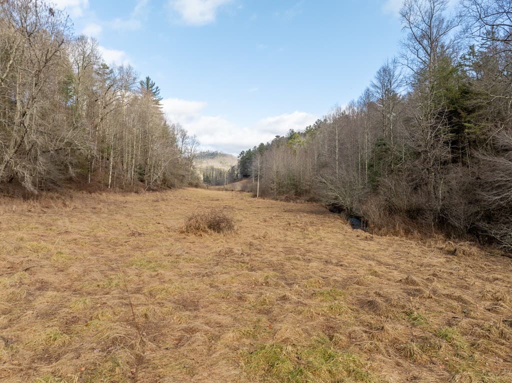 TR 3B Wolf Pen Gap Road, Ellijay GA 30540 - Photo