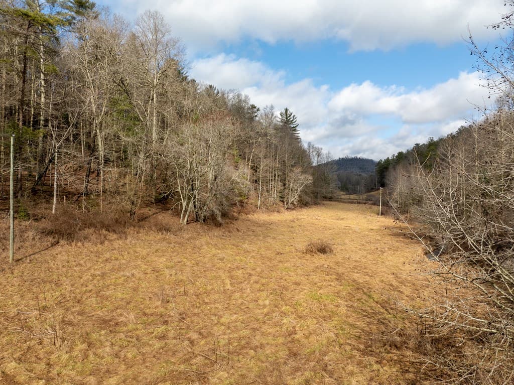 TR 3B Wolf Pen Gap Road, Ellijay GA 30540 - Photo