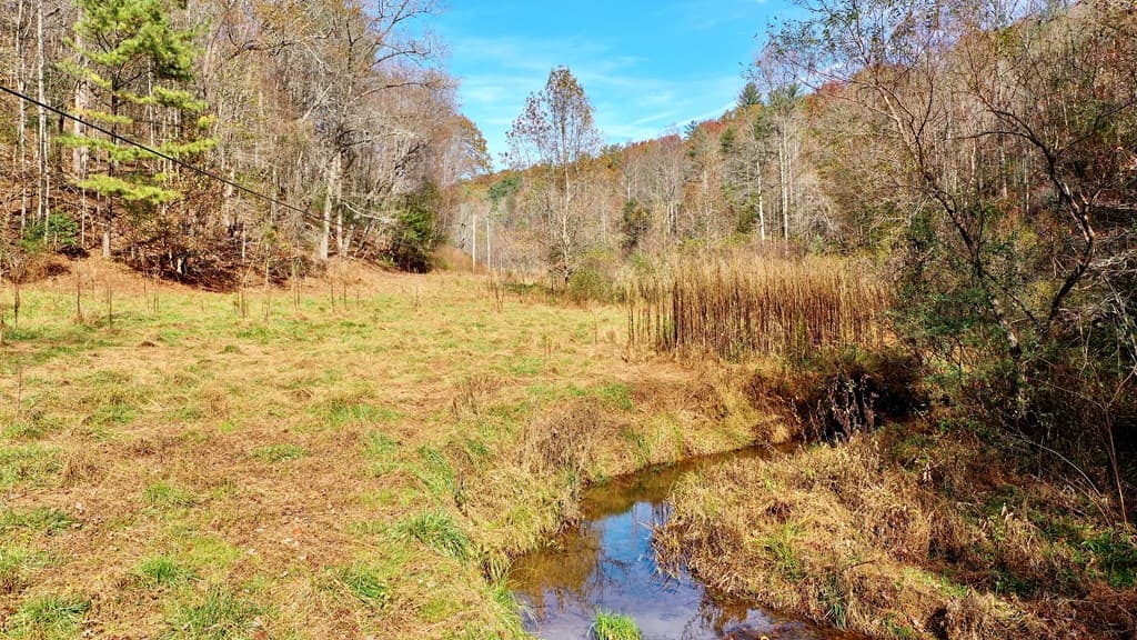 TR 3B Wolf Pen Gap Road, Ellijay GA 30540 - Photo