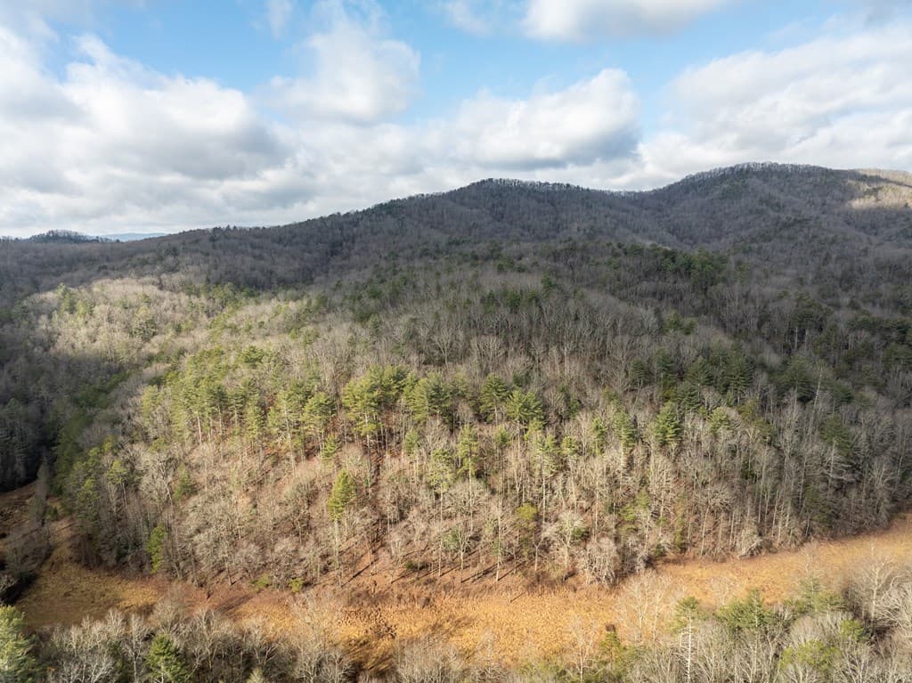 TR 3B Wolf Pen Gap Road, Ellijay GA 30540 - Photo