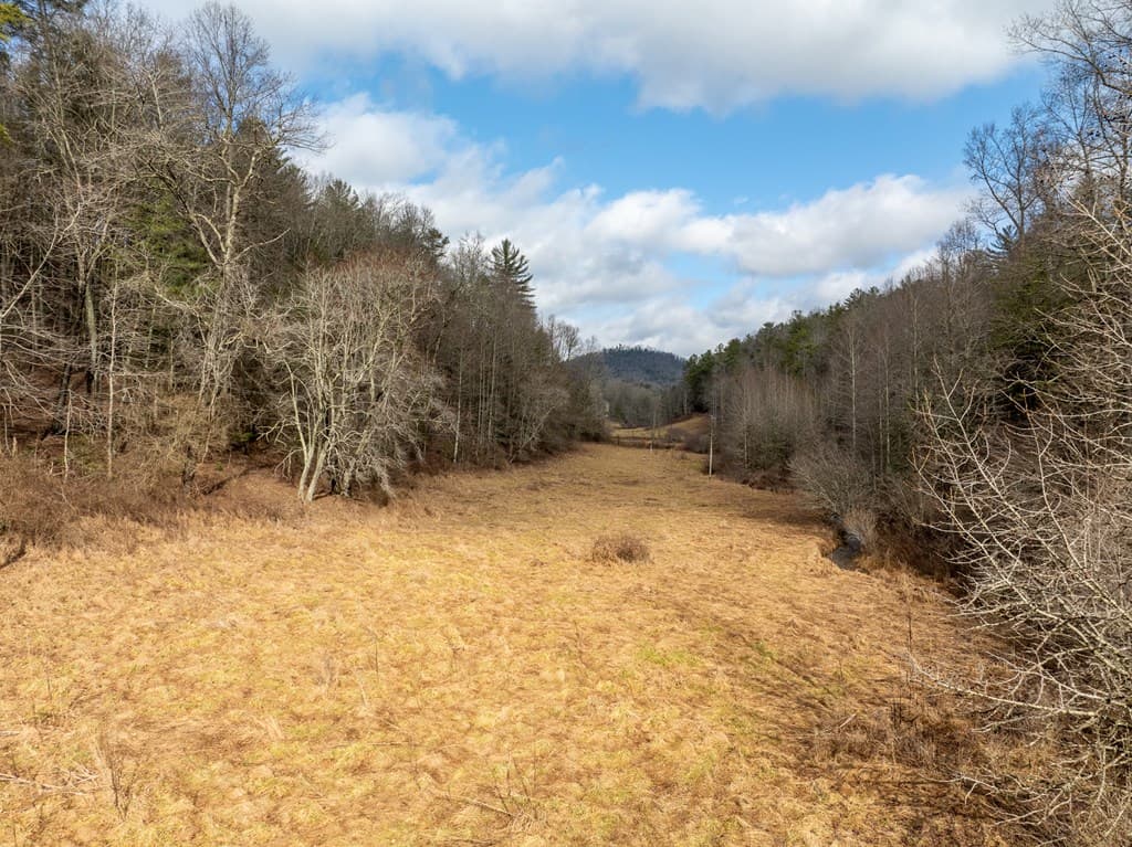TR 3B Wolf Pen Gap Road, Ellijay GA 30540 - Photo