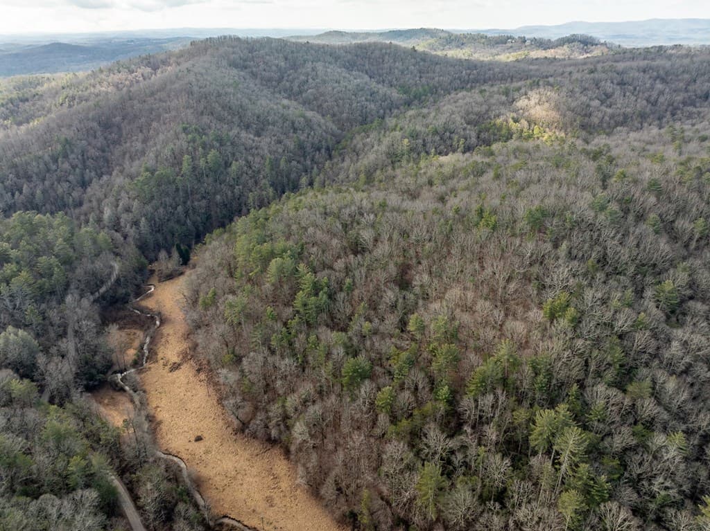 TR 3B Wolf Pen Gap Road, Ellijay GA 30540 - Photo