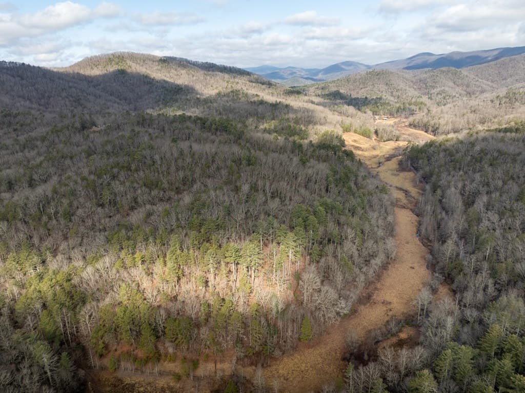 TR 3B Wolf Pen Gap Road, Ellijay GA 30540 - Photo