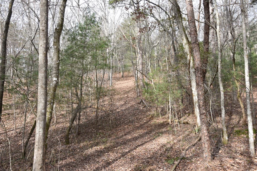 167 Swaims Road, Hayesville NC 28904 - Photo
