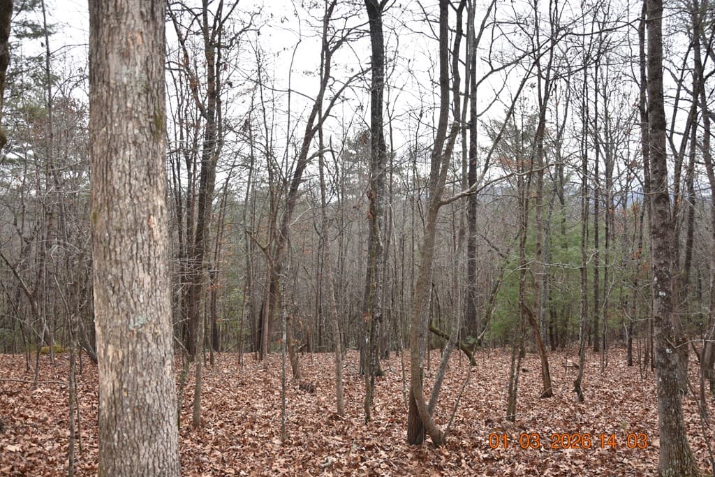 167 Swaims Road, Hayesville NC 28904 - Photo