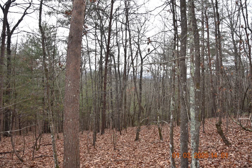 167 Swaims Road, Hayesville NC 28904 - Photo