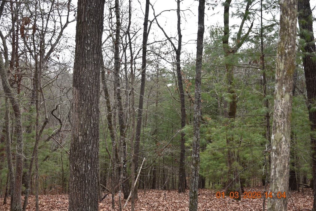 167 Swaims Road, Hayesville NC 28904 - Photo