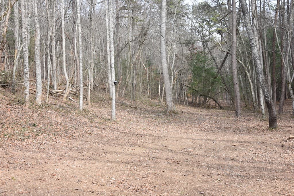 167 Swaims Road, Hayesville NC 28904 - Photo