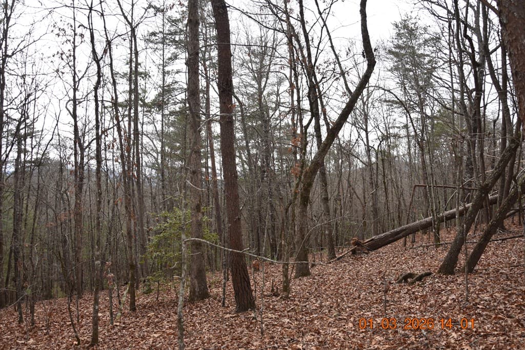 167 Swaims Road, Hayesville NC 28904 - Photo