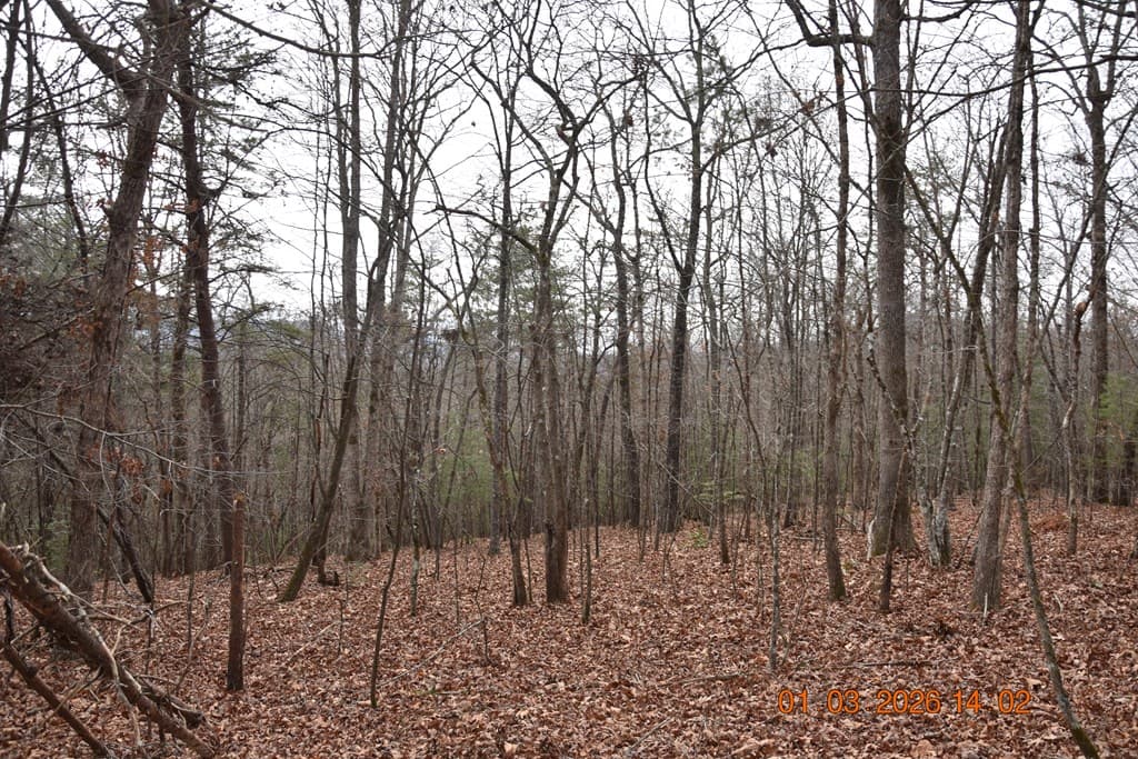 167 Swaims Road, Hayesville NC 28904 - Photo