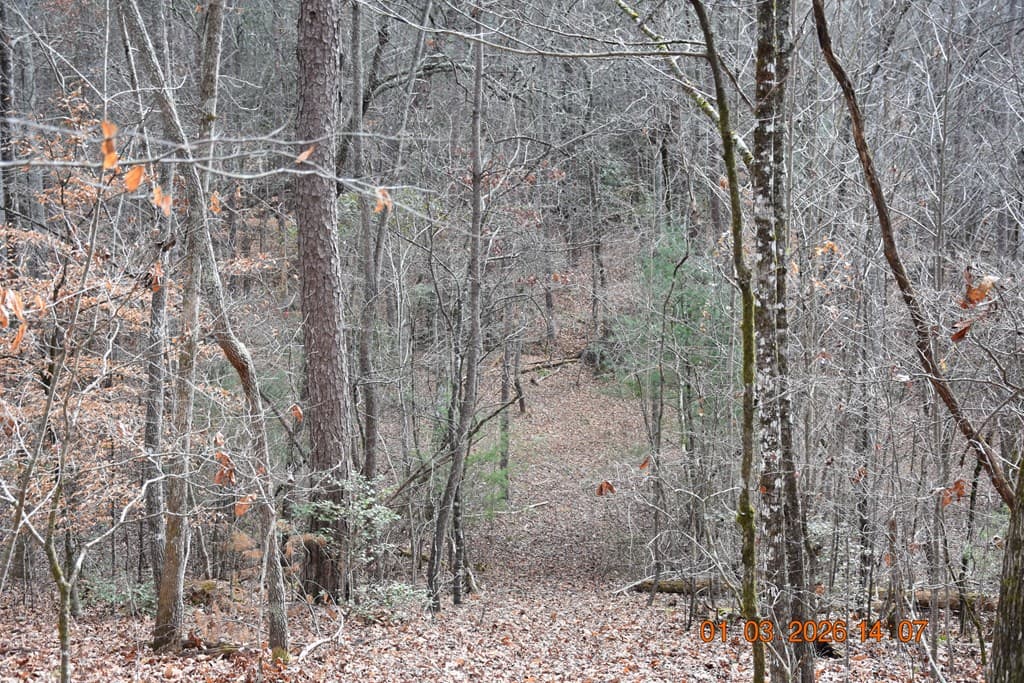 167 Swaims Road, Hayesville NC 28904 - Photo