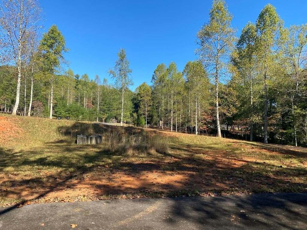 Lot 60 Laurel Brooke, Blairsville GA 30512 - Primary photo