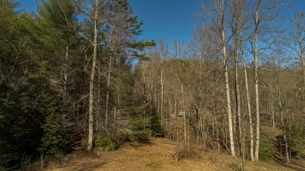 200 Mt. Liberty, Mccaysville GA 30555 - Photo