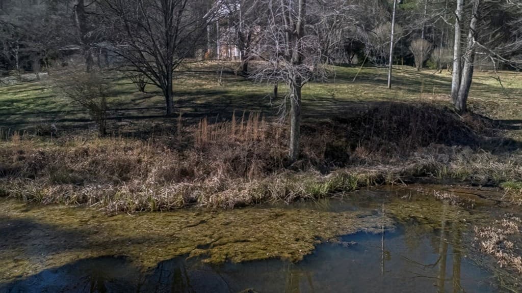 200 Mt. Liberty, Mccaysville GA 30555 - Photo