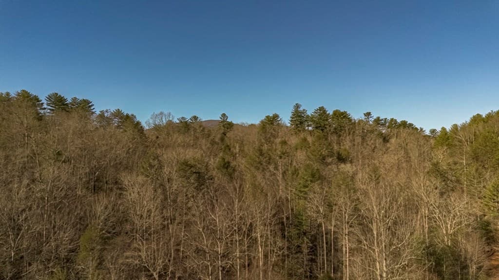 200 Mt. Liberty, Mccaysville GA 30555 - Photo