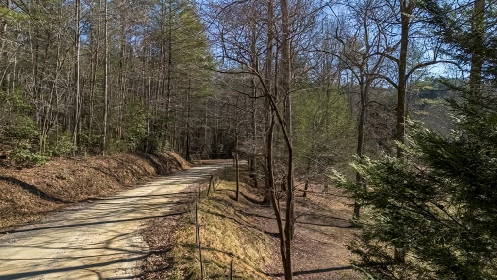200 Mt. Liberty, Mccaysville GA 30555 - Photo