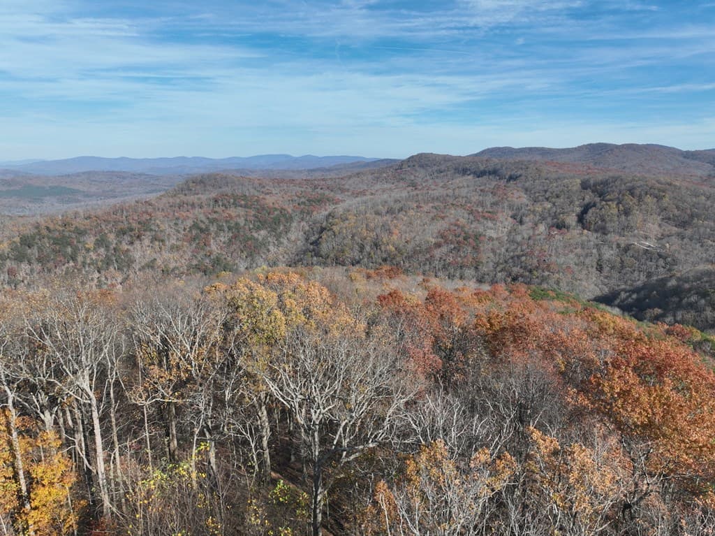 275 Andes Ridge, Ellijay GA 30536 - Photo