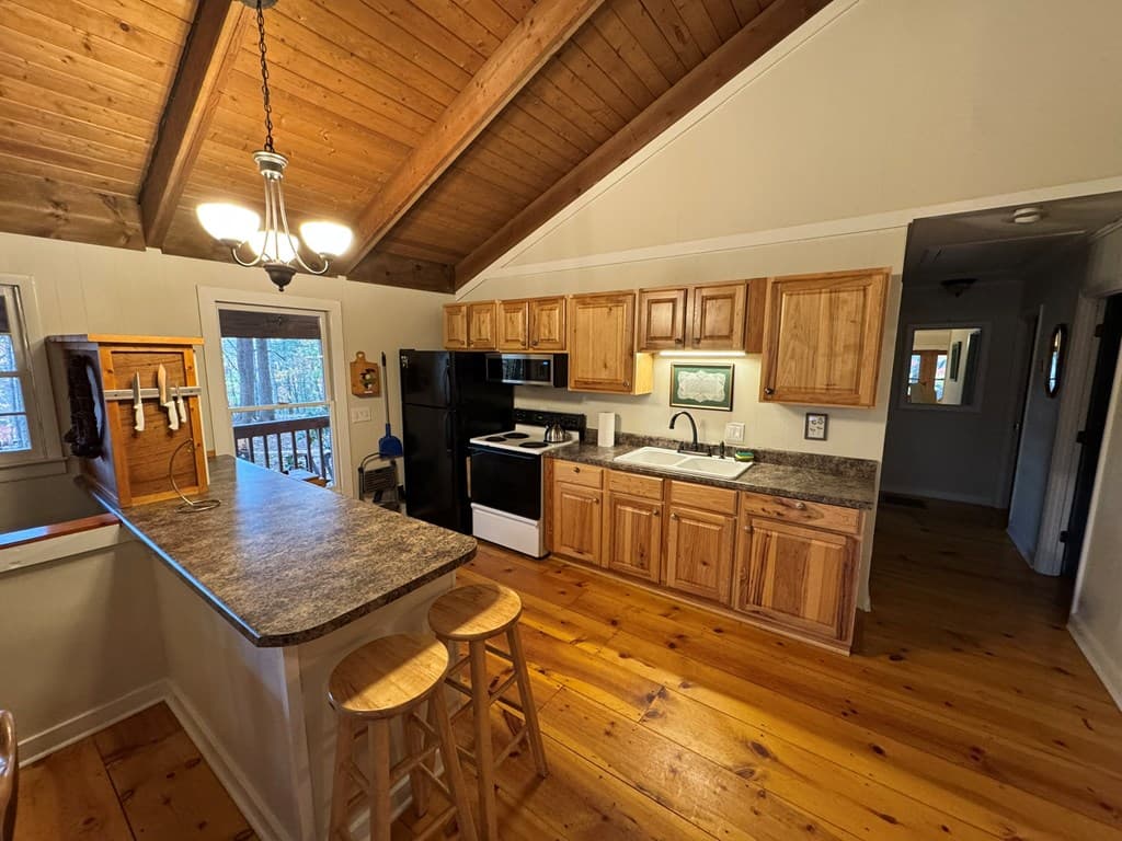 131 Hickory Trace, Ellijay GA 30536 - Photo