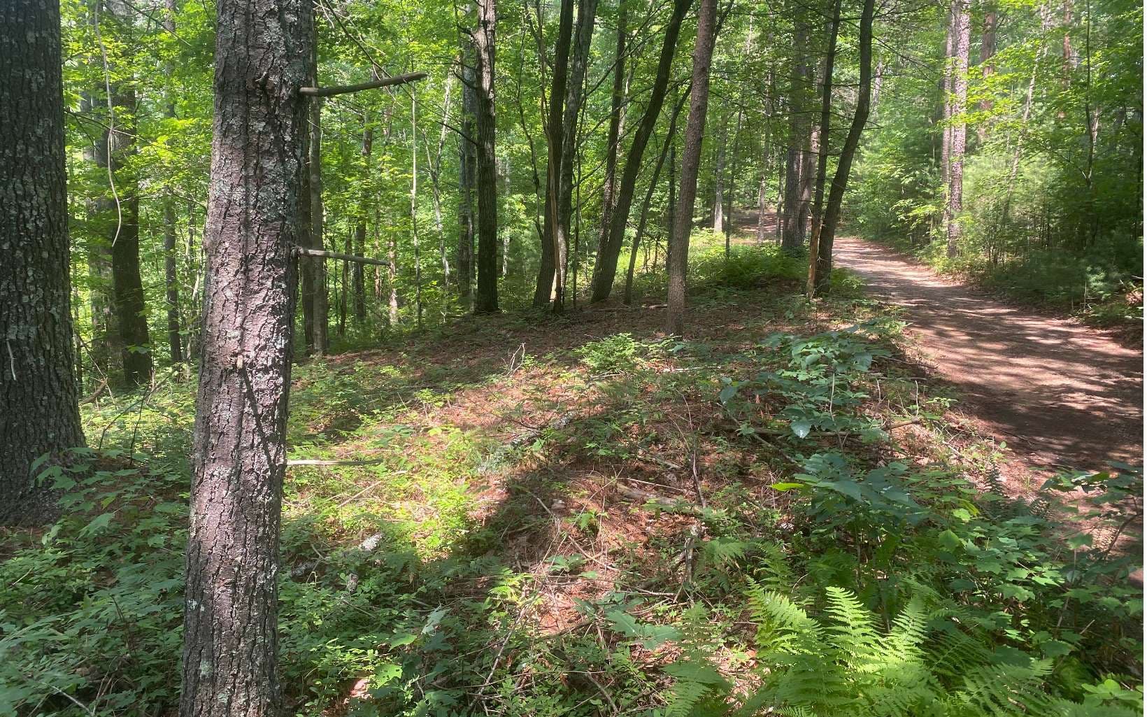 17.98 Ac Murphy Hwy, Mineral Bluff GA 30559 - Photo
