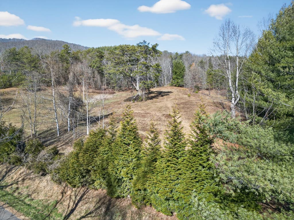 793 Jackie Cove Road, Hayesville NC 28904 - Photo