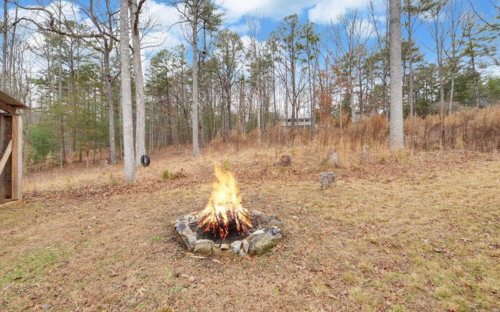 16 Bell Lane, Morganton GA 30560 - Photo