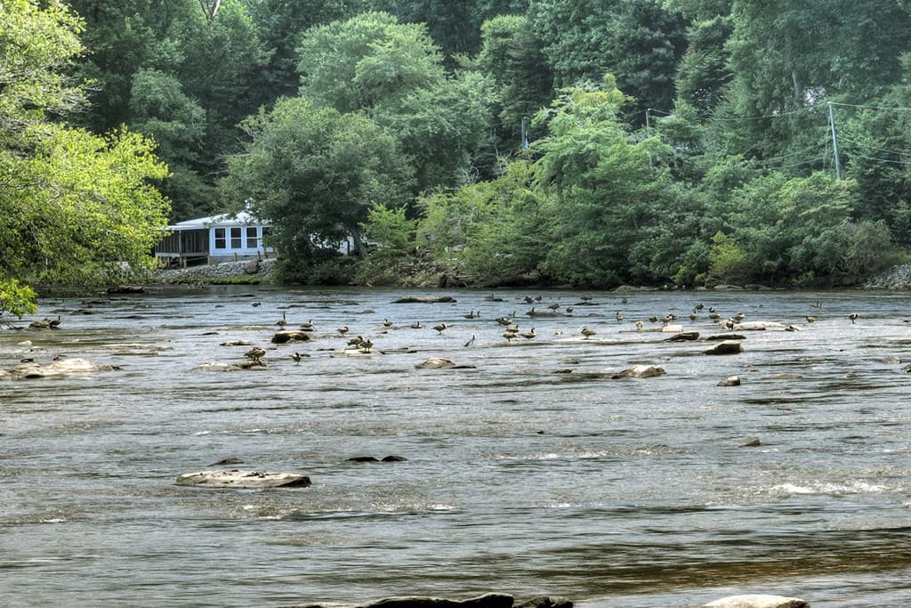 53 Addle Trail, Ellijay GA 30540 - Photo