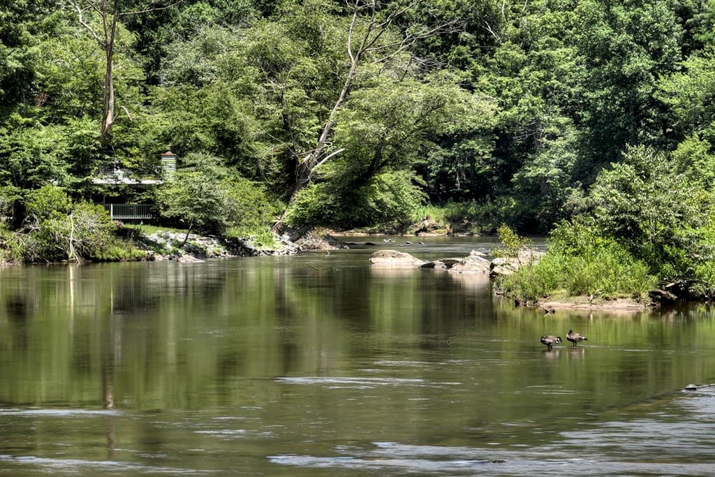 53 Addle Trail, Ellijay GA 30540 - Photo