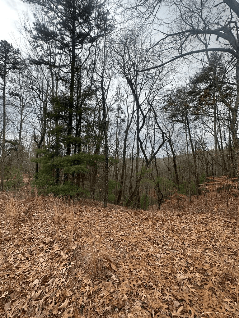 0 Sheila Drive, Ellijay GA 30540 - Primary photo