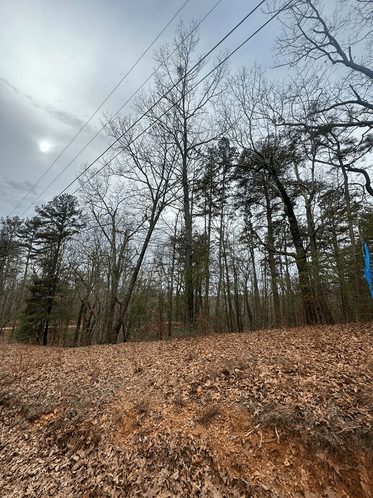 0 Sheila Drive, Ellijay GA 30540 - Photo