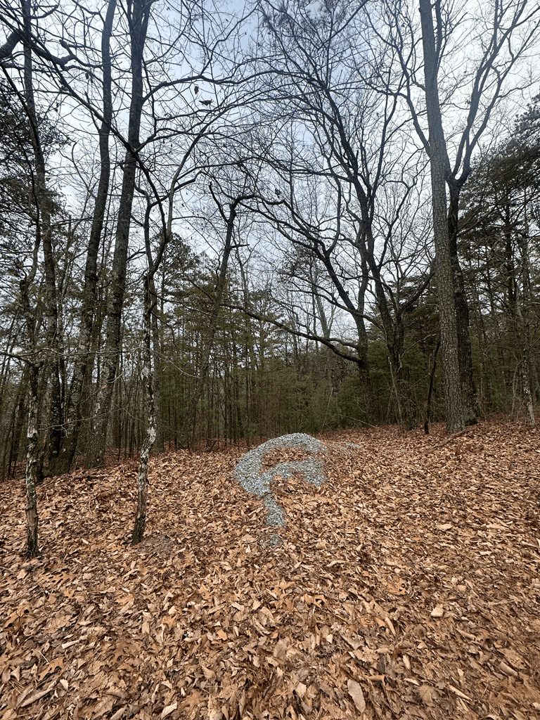 0 Sheila Drive, Ellijay GA 30540 - Photo
