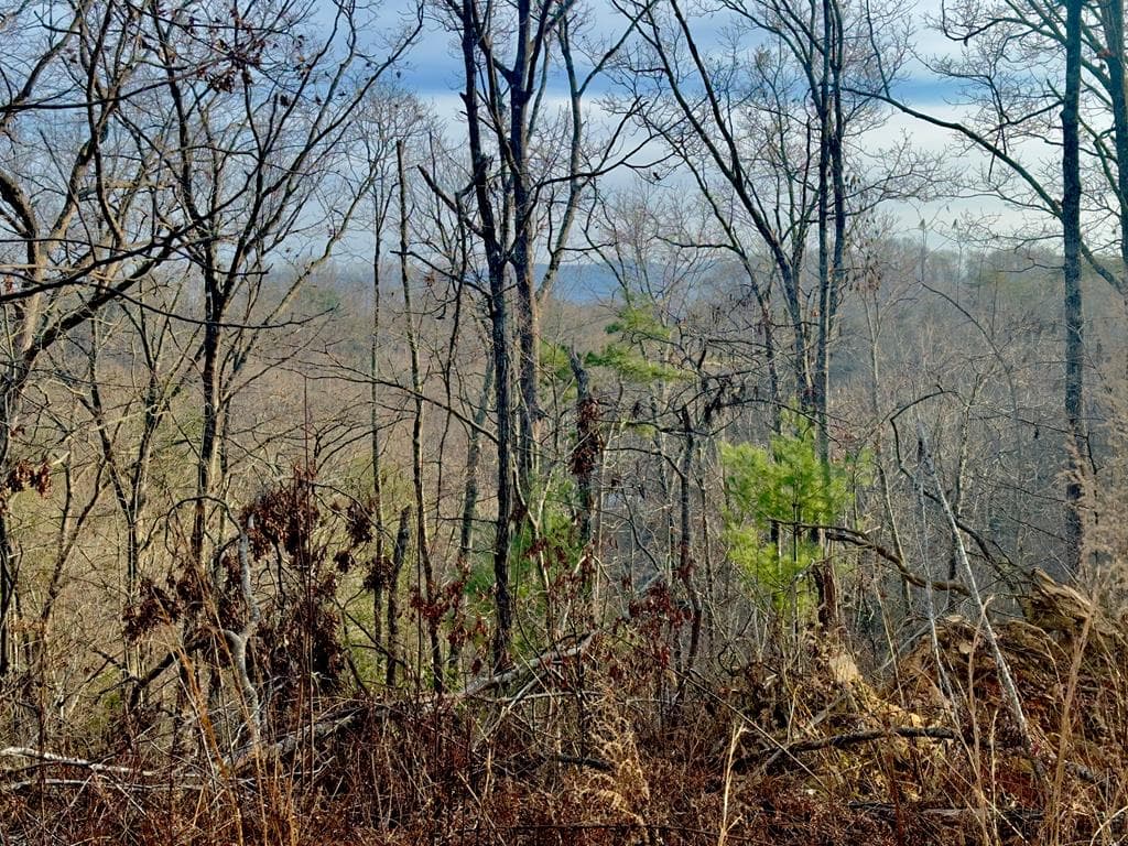 Tract 1 Century Lane, Blue Ridge GA 30513 - Photo