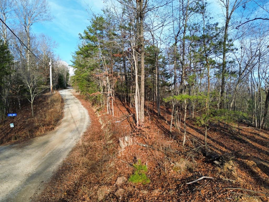 Tract 1 Century Lane, Blue Ridge GA 30513 - Photo