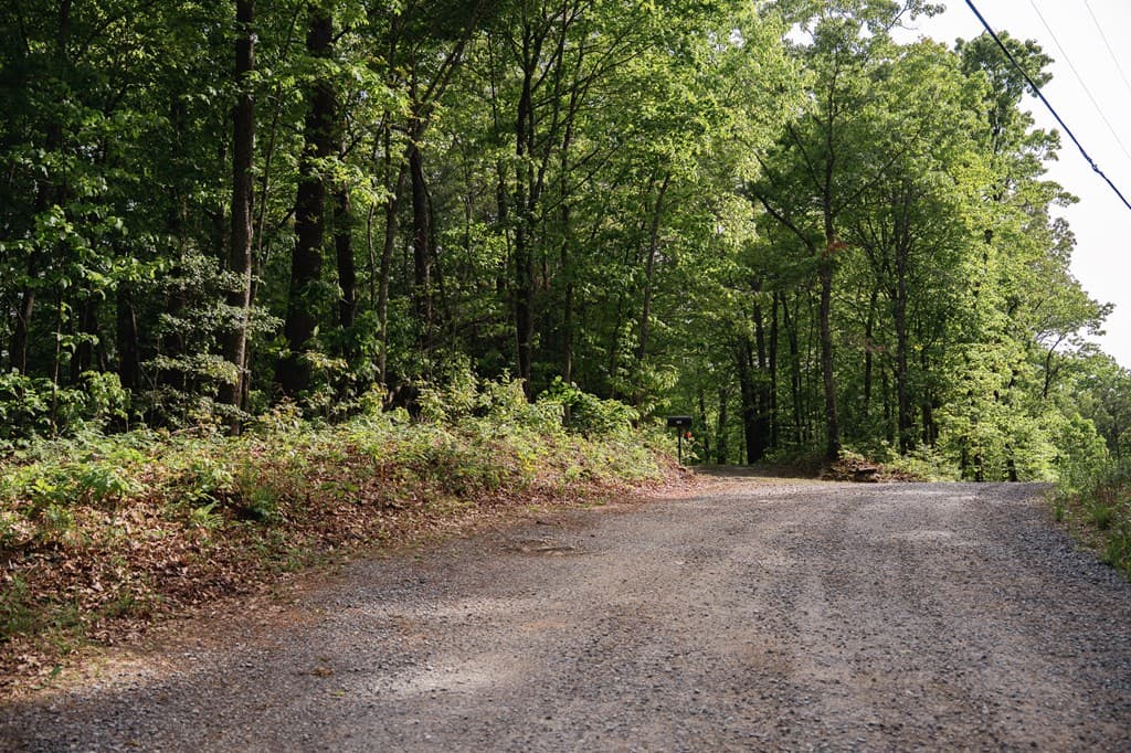 Tract 1 Century Lane, Blue Ridge GA 30513 - Photo