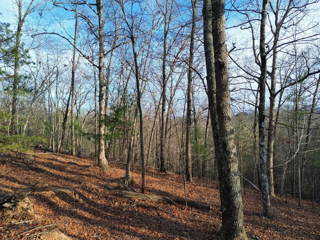 Tract 1 Century Lane, Blue Ridge GA 30513 - Photo