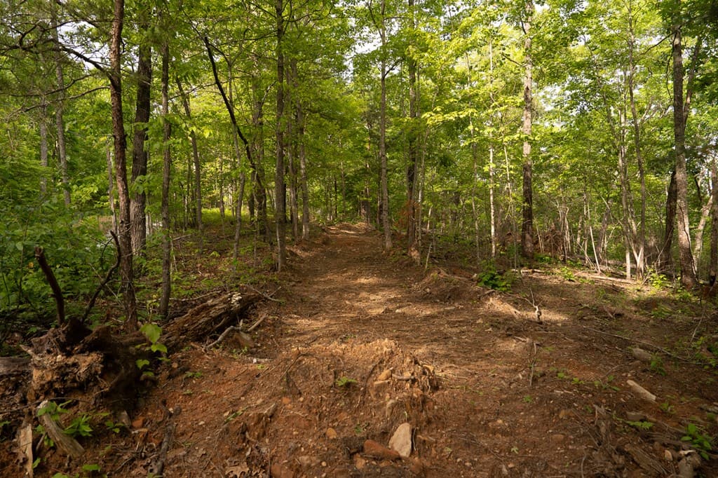 Tract 1 Century Lane, Blue Ridge GA 30513 - Photo