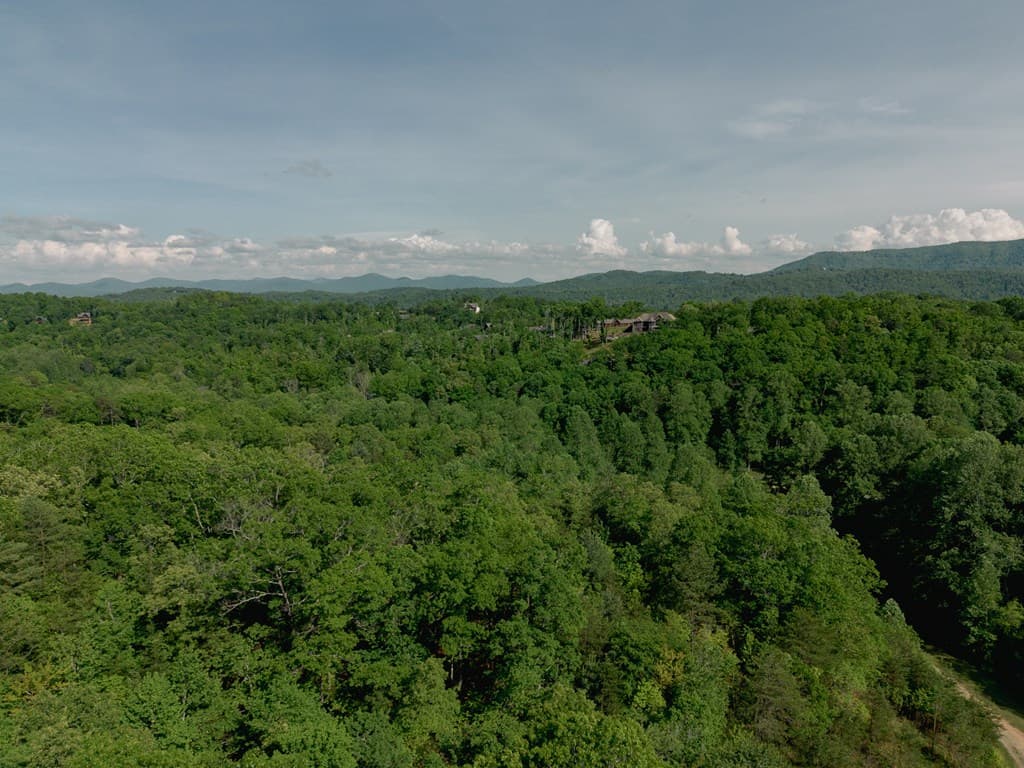 Tract 1 Century Lane, Blue Ridge GA 30513 - Photo