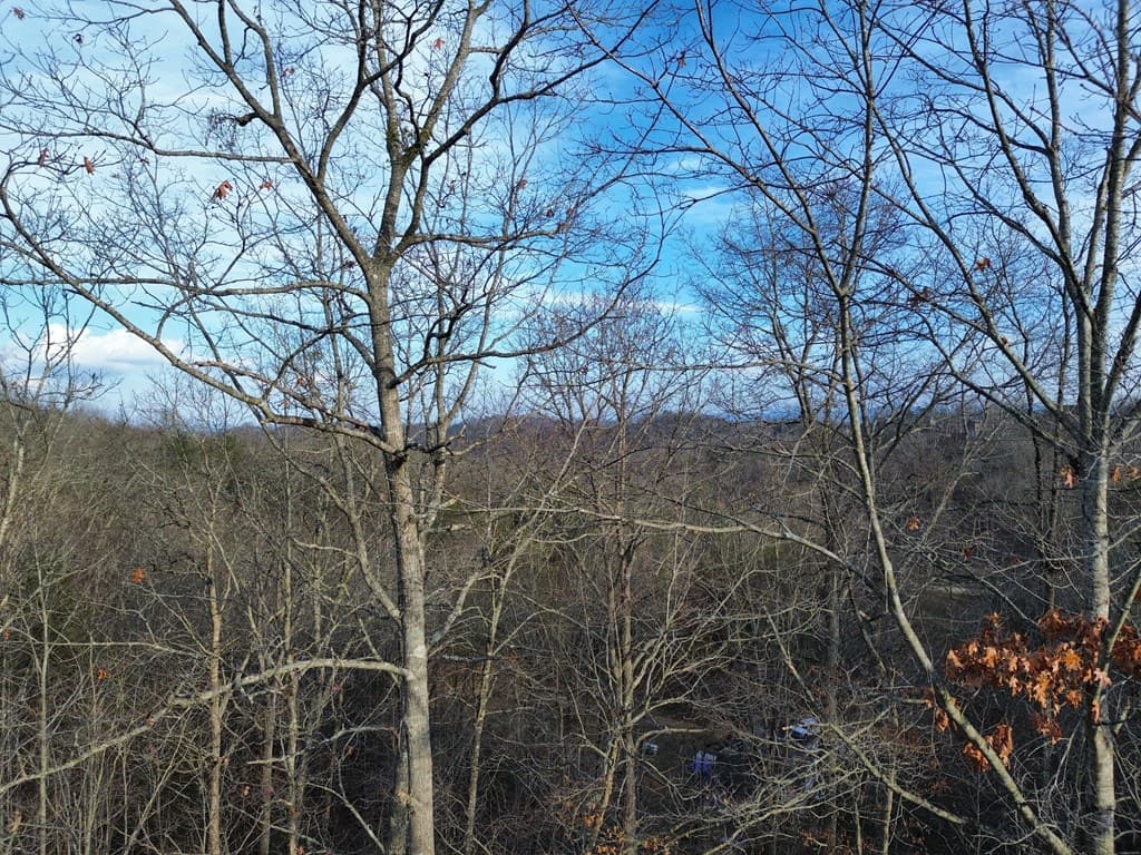 Tract 1 Century Lane, Blue Ridge GA 30513 - Photo