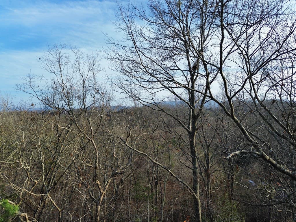 Tract 1 Century Lane, Blue Ridge GA 30513 - Photo
